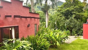 Un edificio rojo con una ventana pequeña y una puerta, rodeado de abundante follaje y palmeras.
