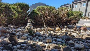 Un jardín con un arreglo de rocas, árboles y un edificio al fondo.