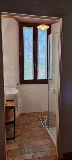 Ducha, secador de pelo, bidé y toallas