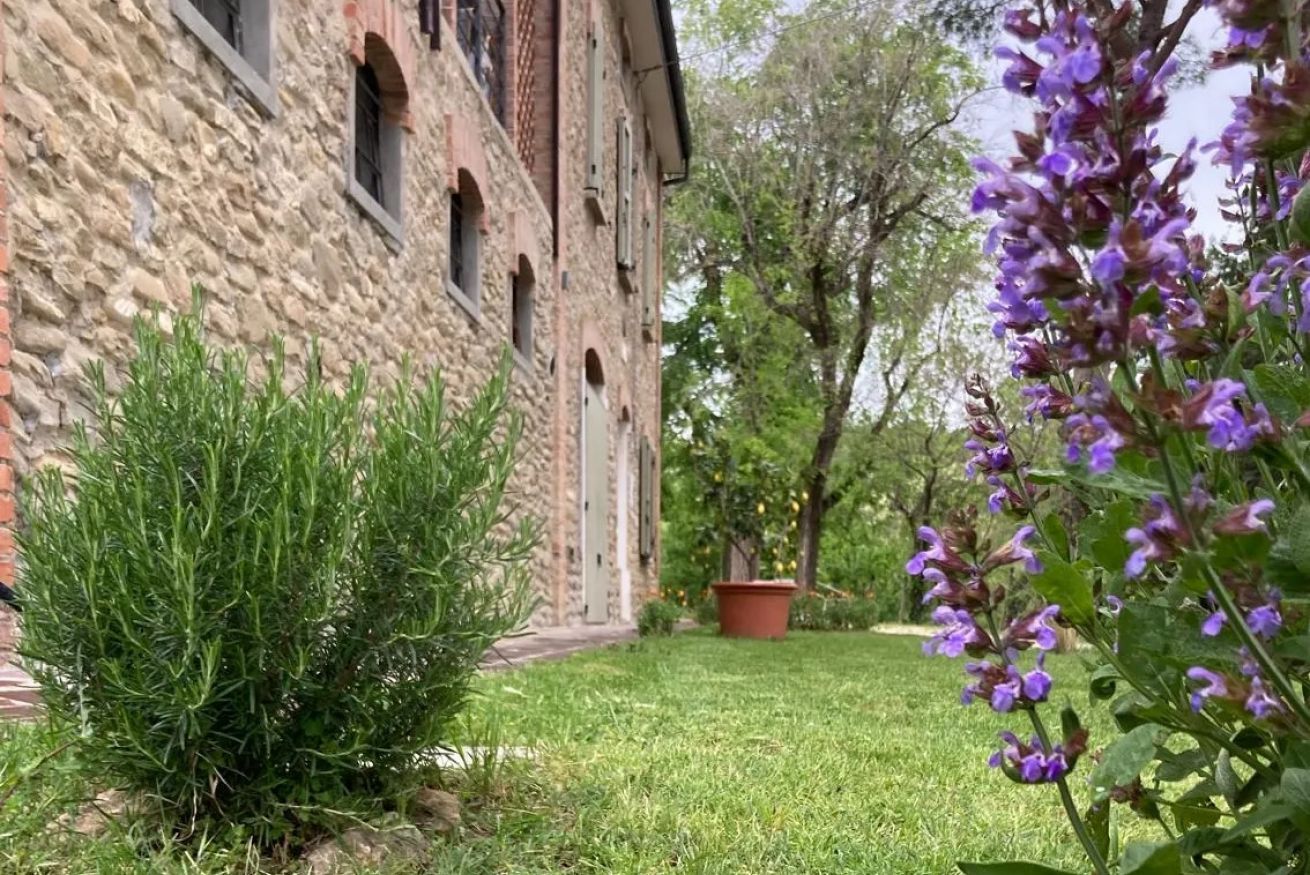 Un bâtiment en pierre doté de fenêtres en arc de cercle et d’une pelouse bien entretenue, agrémentée de fleurs violettes.
