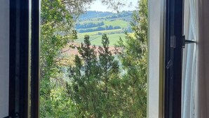 A window with an open curtain, revealing a view of trees and a distant landscape.