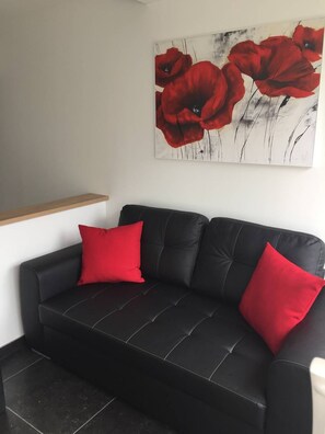 A black leather sofa with red cushions, a wooden shelf, and a painting of red flowers on the wall. - POPPY - Port Nature Studio 461 - Luxury - 2 people (AGDE)