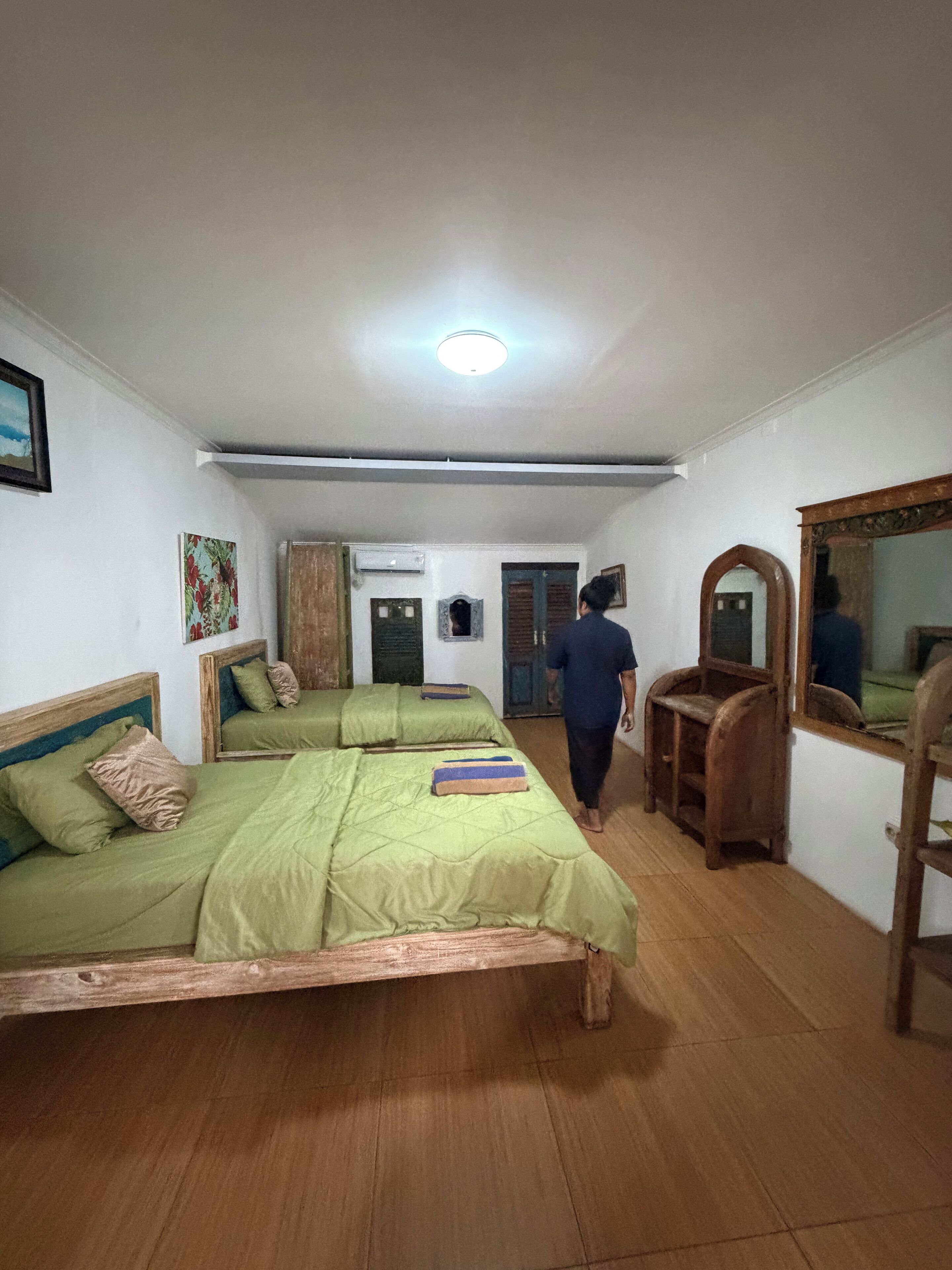 Habitación Deluxe con 2 camas individuales