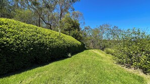 المنطقة المحيطة بالمنشأة