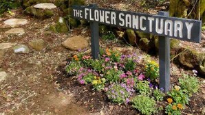 En skylt för ”Blomsteroasen” mitt i ett skogsområde, bredvid en grusväg.