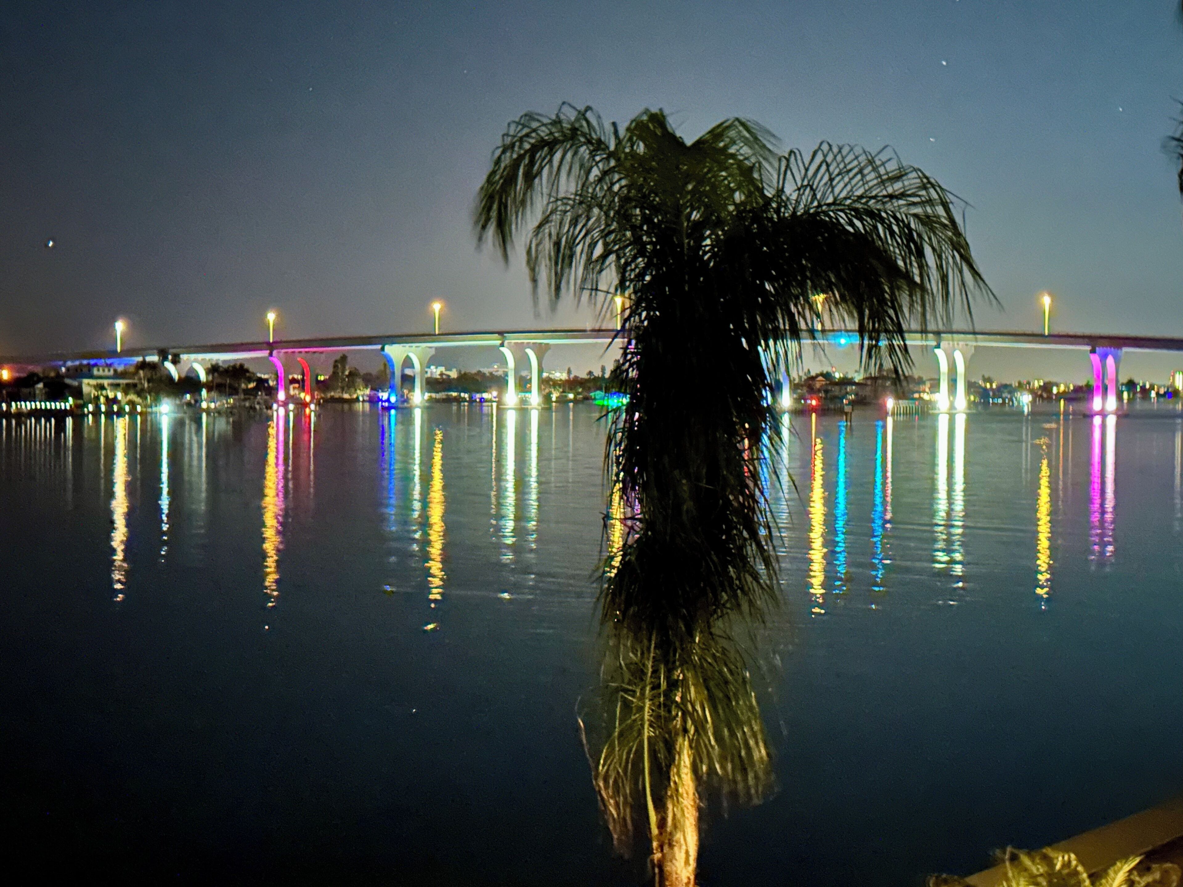 Ein Nachtblick auf eine Brücke mit bunten Lichtern, die sich im Wasser spiegeln, eine Palme im Vordergrund und eine Stadtlandschaft im Hintergrund.