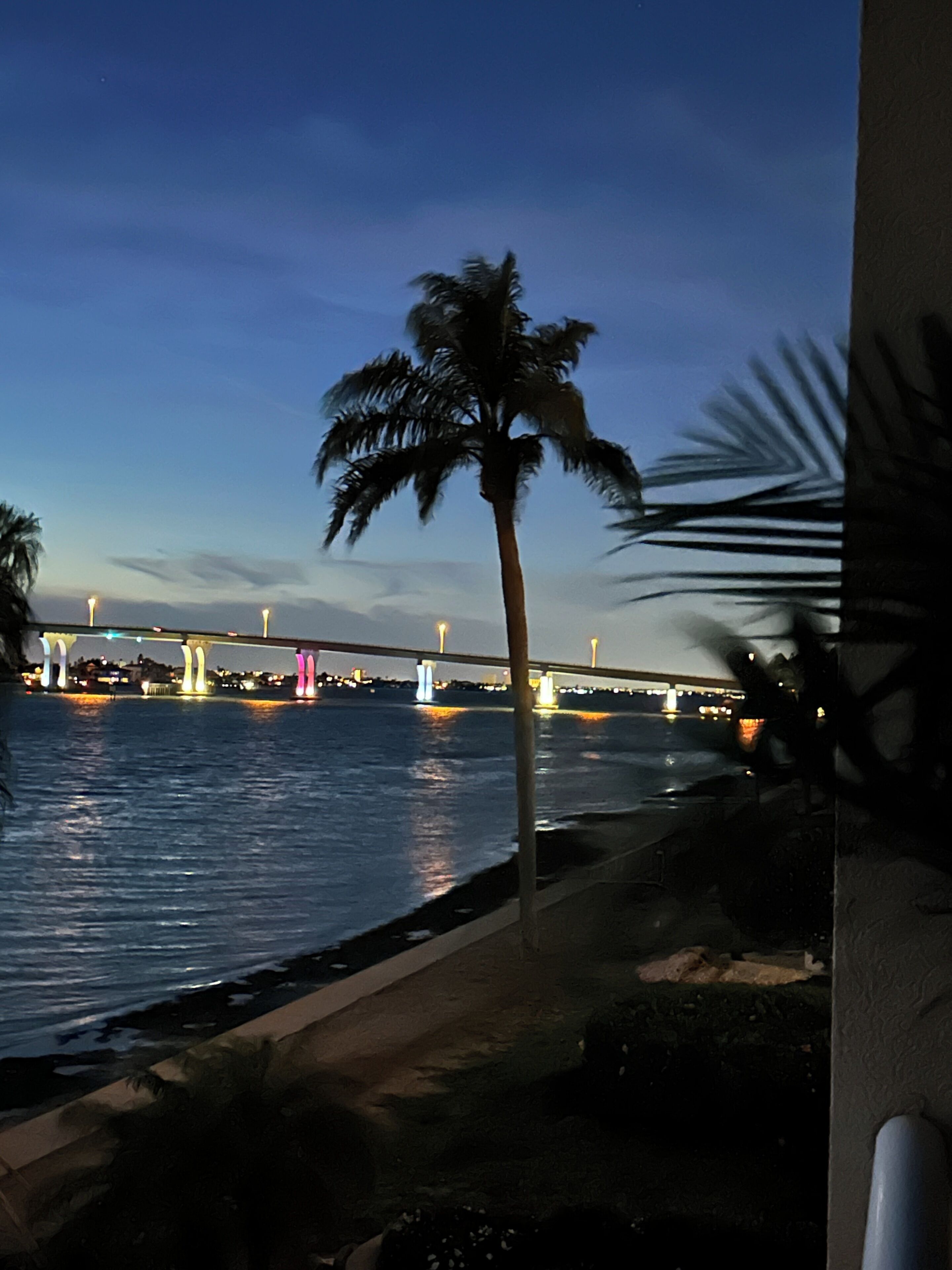 A view of a river with a bridge and palm trees.