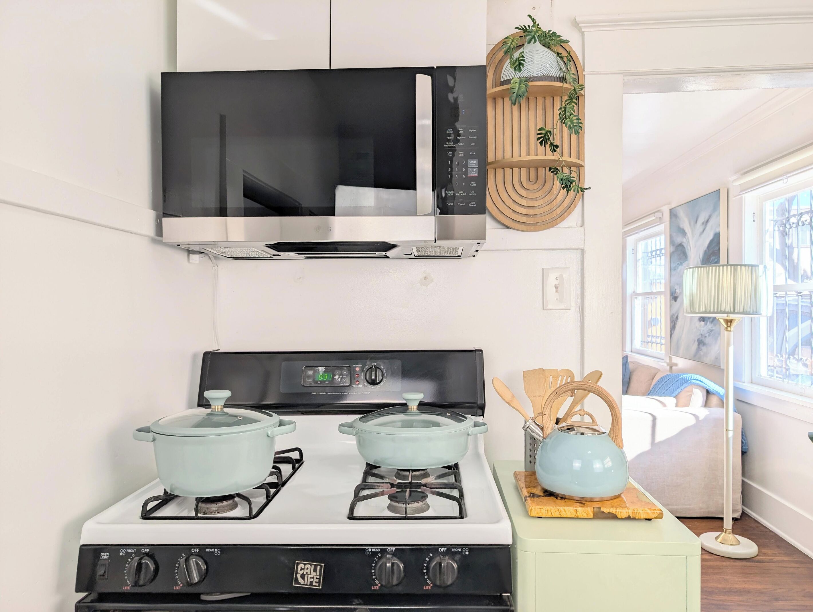 A kitchen with a stove, microwave, and hanging plant.