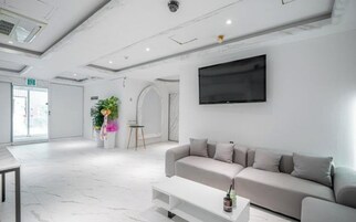 Un interior moderno con un sofá, un televisor y una planta.