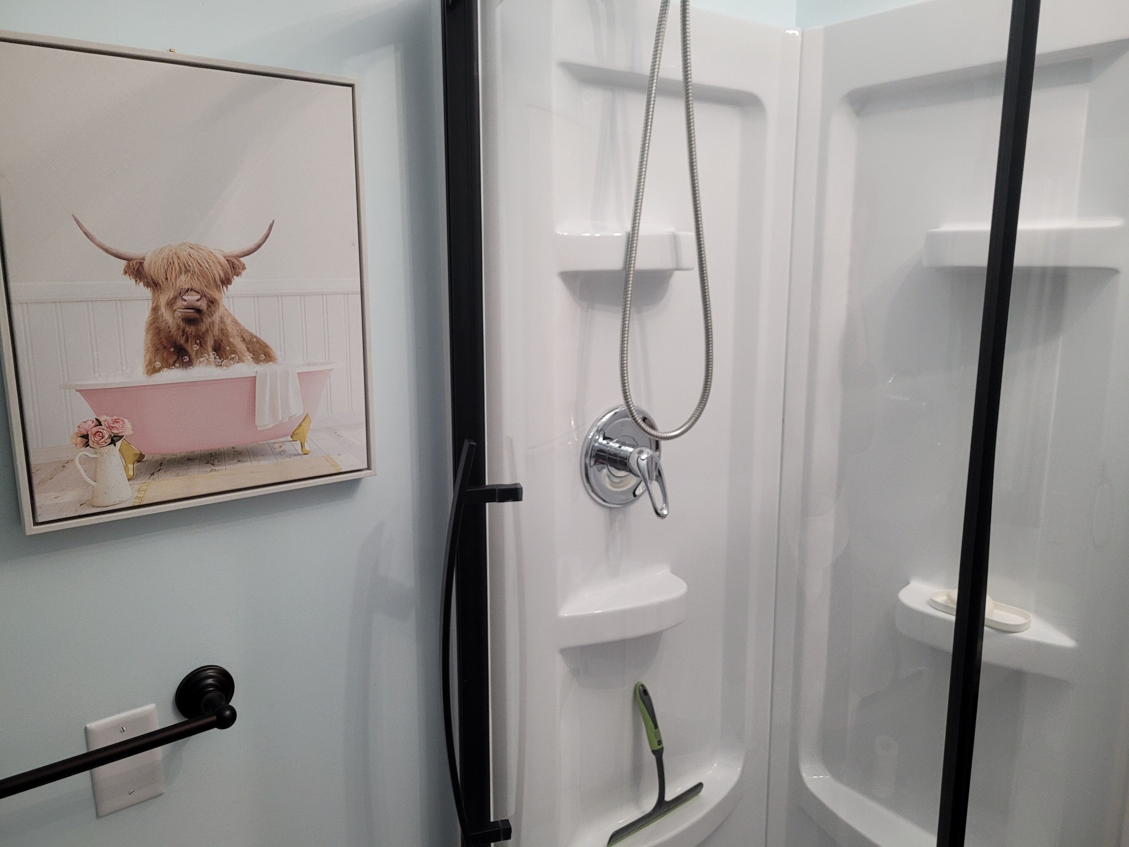 Un baño con ducha, inodoro y un cuadro en la pared.
