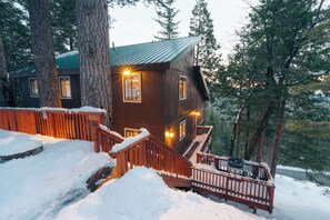 A wooden cabin with a metal roof, surrounded by trees and snow.