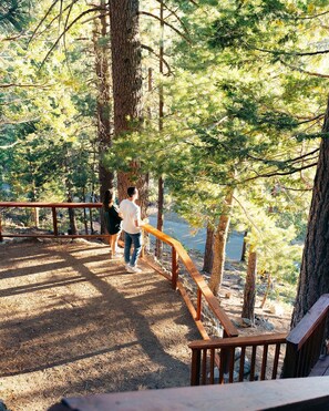 Property grounds - New! Henness House inside YNP w/ game room/EV/AC (Yosemite National Park)