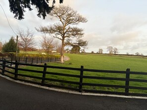 Miscellaneous - Renovated, charming farmhouse located in the Irish countryside. (Ballinahown)