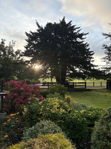 Renovated, charming farmhouse located in the Irish countryside.