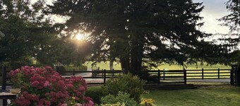 Renovated, charming farmhouse located in the Irish countryside.