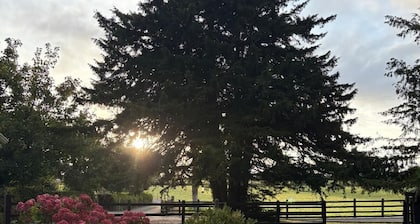 Renovated, charming farmhouse located in the Irish countryside.