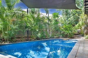 A swimming pool surrounded by lush tropical plants and a wooden fence.