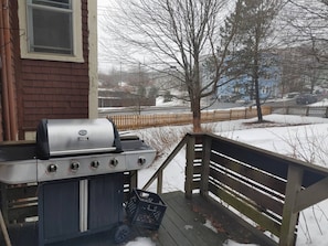 Shared Dormitory, 1 Bedroom, Smoking, Patio | BBQ/picnic area