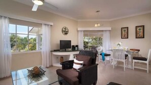 A living room with a TV, a fireplace, a dining area with a table and chairs, and large windows with curtains.