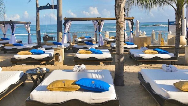 A beachside hotel with multiple sunbeds arranged in rows, some with umbrellas, and a view of the ocean.