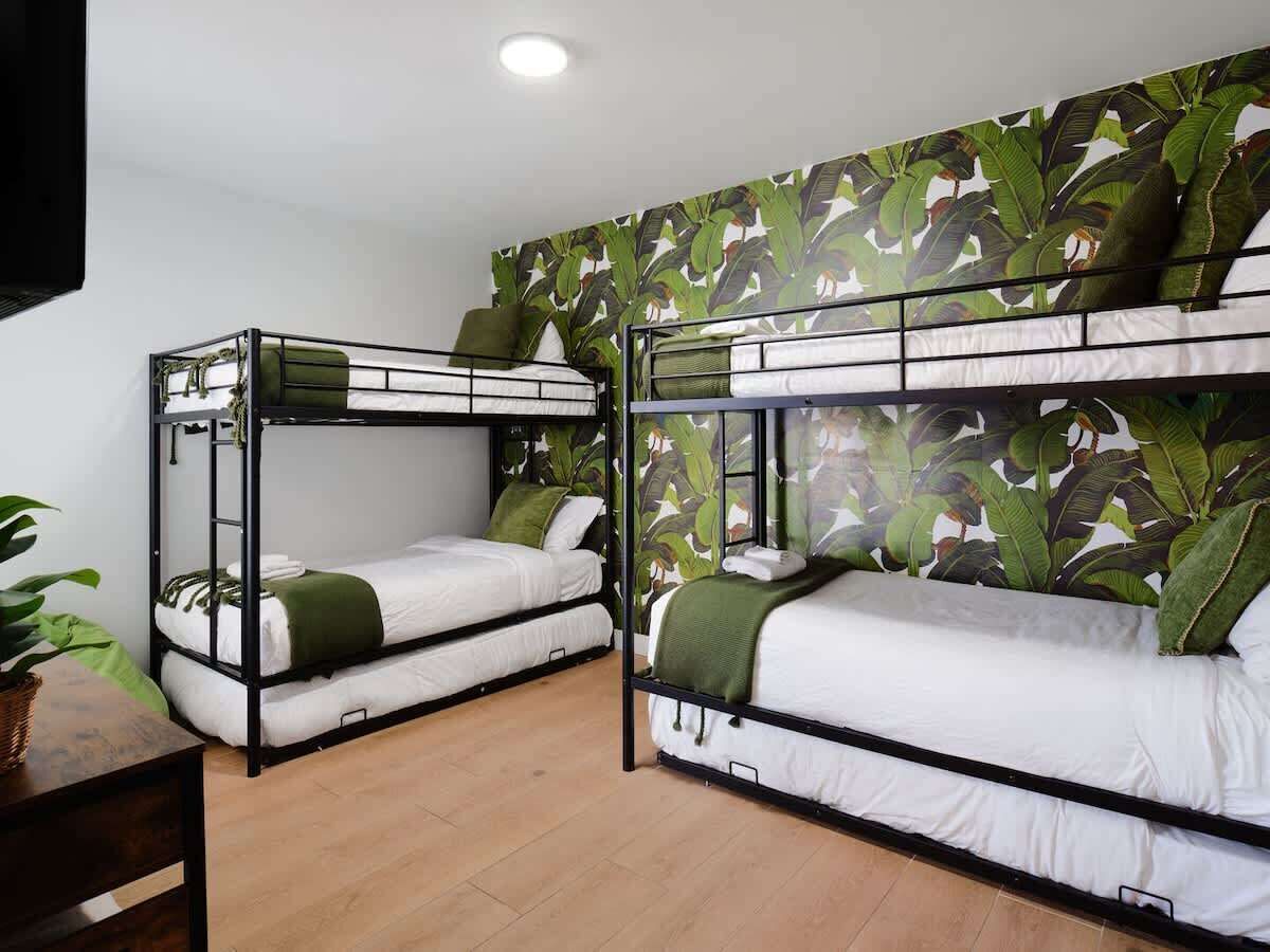 A room with bunk beds, a plant, and a wall with a leaf pattern.