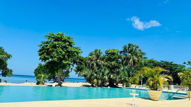 Une piscine à l’eau d’un bleu limpide, entourée de palmiers et bordée d’une plage.