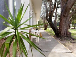 Outdoor dining - & Art Motel  (Tootgarook)