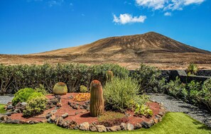 Property grounds - Amazing home in Playa Blanca (Playa Blanca)