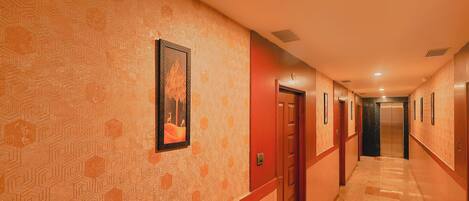 Un pasillo con paredes, puertas y un rellano que conduce a un ascensor decorado con motivos.