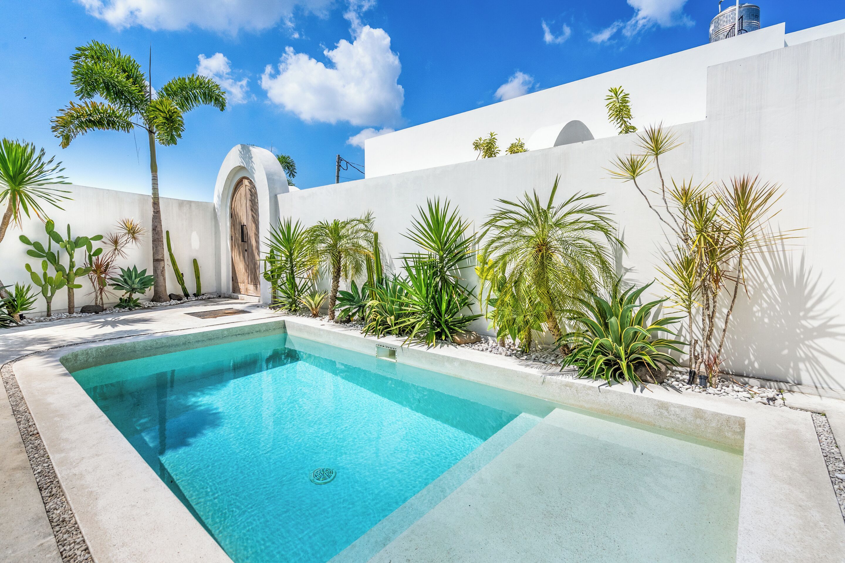 A swimming pool with a white wall and palm trees.