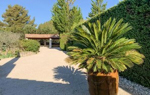 Property grounds - Pet friendly home in Saint-Rémy-de-Provence (Saint-Rémy-de-Provence)