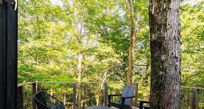Modern cozy cabin in Dolly Sods with sauna & EV charger