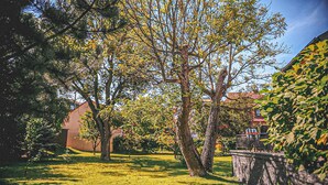 A garden with trees, a stone wall, and a building with a red roof in the background.