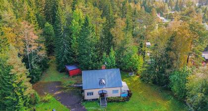 3 bedroom cozy home in Lesjöfors