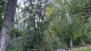 Un parc avec une table de pique-nique et un banc, entouré d’arbres et bordé d’un sentier de terre.