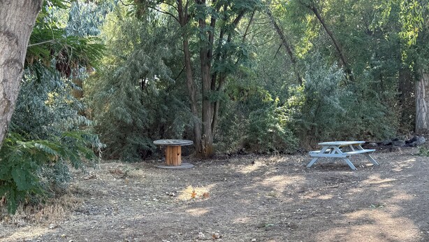 Une zone boisée avec une table de pique-nique et une petite construction en bois.