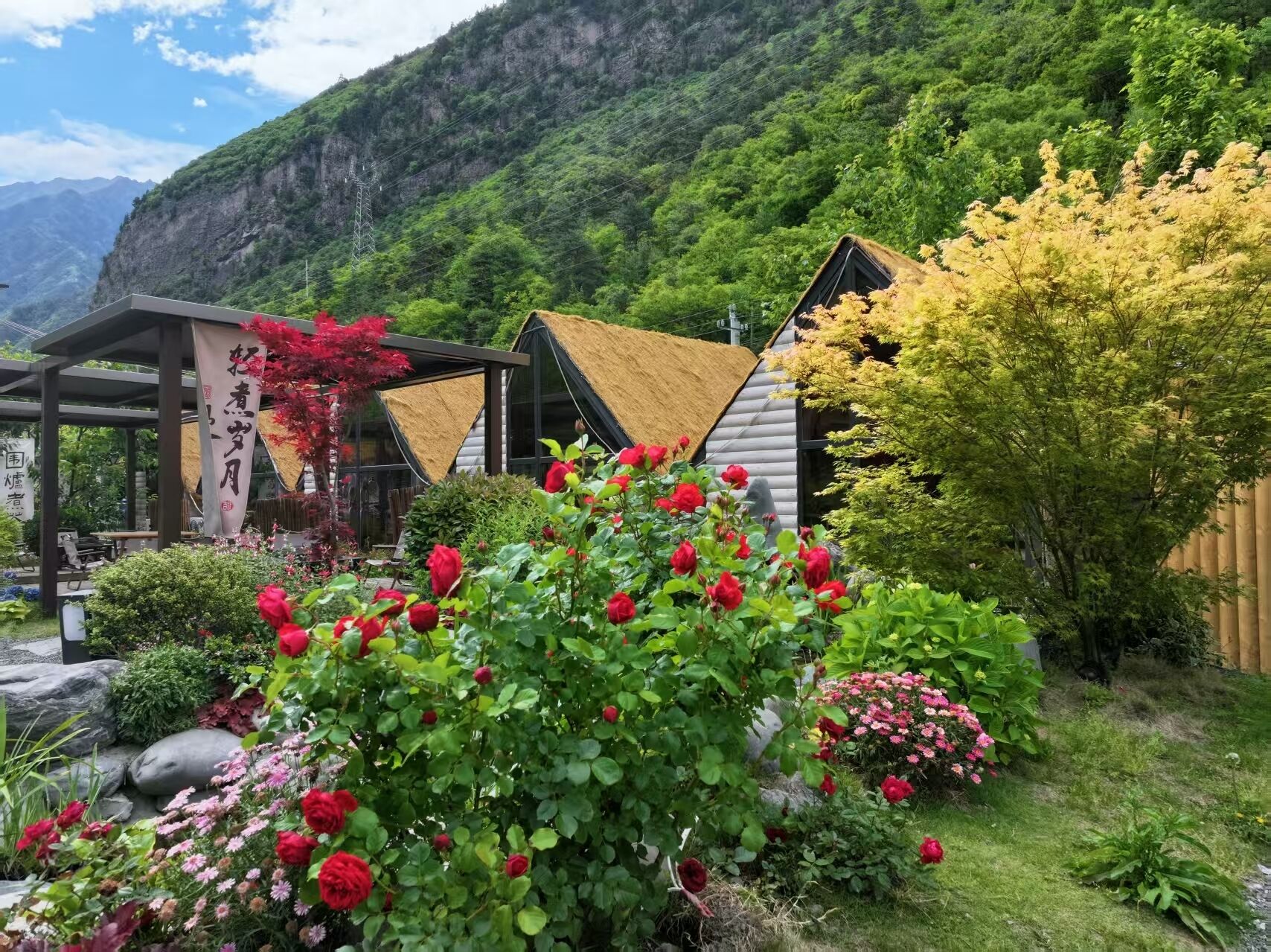 Um jardim com rosas vermelhas, uma estrutura de madeira e montanhas ao fundo.