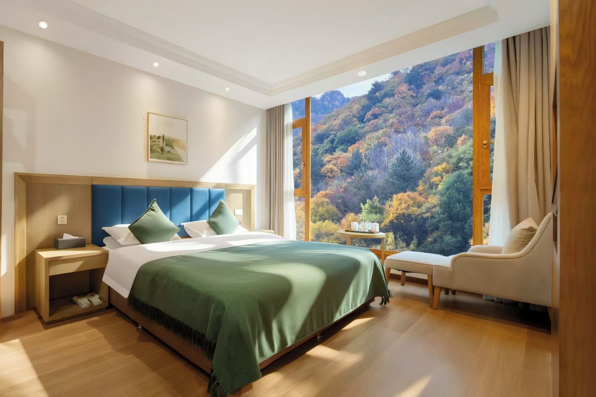 Executive Studio Suite, Hill View