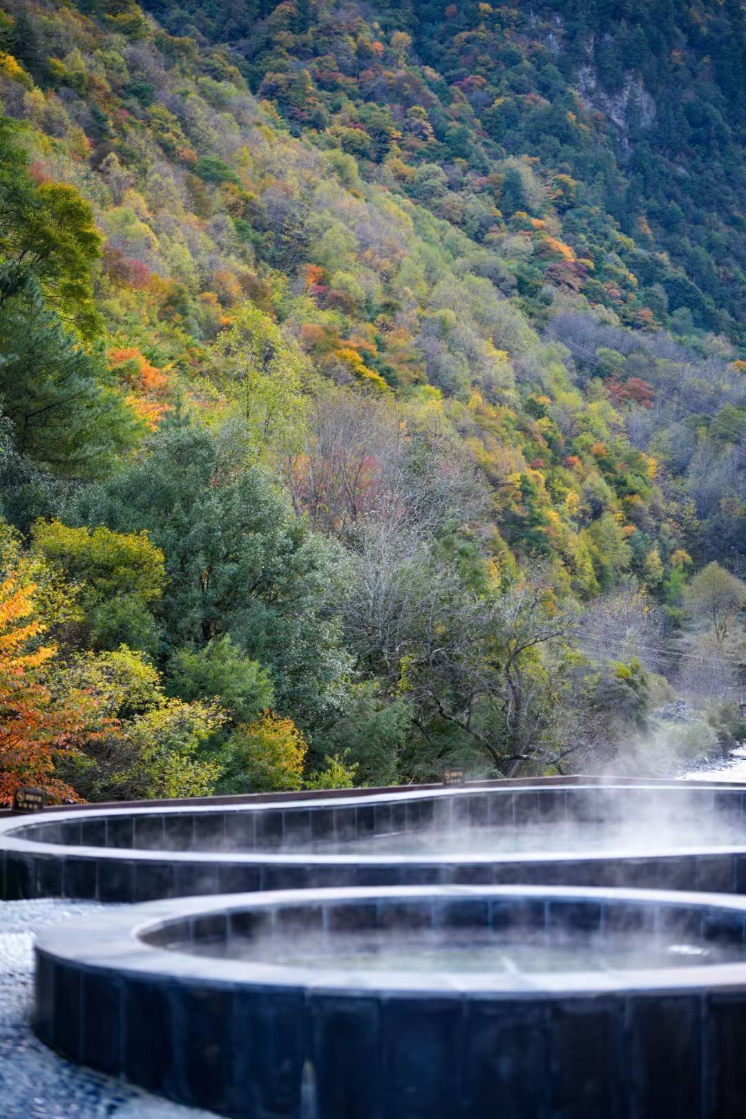 A circular water feature surrounded by a forested hillside.