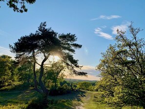 Miscellaneous - In the heart of Svanninge Bakker, close to the sea and Faaborg town (Faaborg)