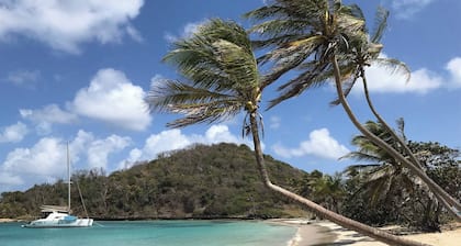 Catamaran Timaiao V, Breakfast and Lunch included