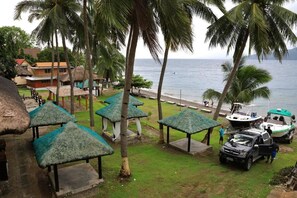 Property grounds - Saltitude Dive & Beach Resort (Mabini)