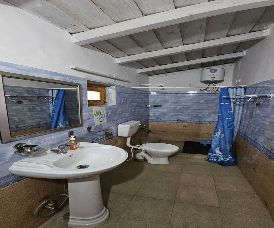 Habitación individual | Baño | Ducha, artículos de higiene personal gratuitos, toallas y jabón