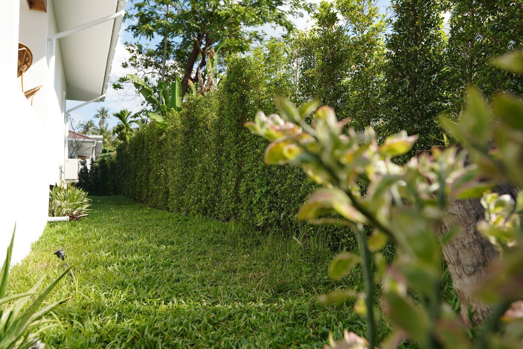 A well-maintained garden with a hedge, a lawn, and a white building with a balcony.