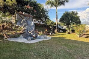 A landscaped garden with a rock formation, a small pond with ducks, and a palm tree.