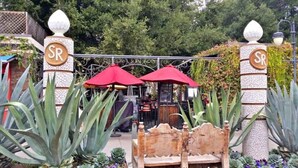 A gated entrance with a sign, red umbrellas, and a bench. - Luxury 2-bedroom townhome with AC in San Jose (San Jose)