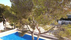 Una piscina con un árbol en primer plano, una valla blanca y un edificio al fondo.