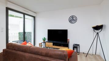 Televisio, DVD-soitin