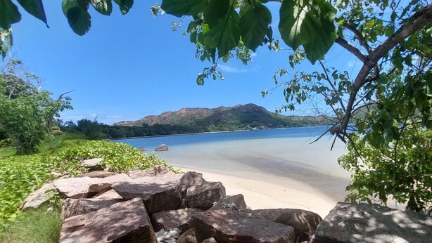 Une plage à l’eau claire, un rivage sablonneux et une montagne en arrière-plan.