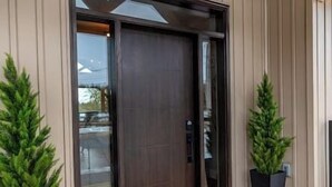 Une entrée moderne avec une porte en bois foncé, des panneaux de verre et deux plantes en pot.